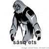 illustration for sásq'ets ('sasquatch')