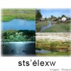 image for sts'élexw