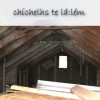 Featured illustration for chíchelhs te lá:lém - attic